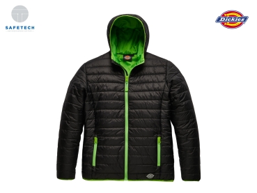 Dickies 1922 Steppjacke Stamford