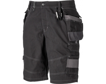 Dickies Premium Shorts Eisenhower