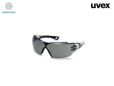 uvex Bügelbrille pheos cx2
