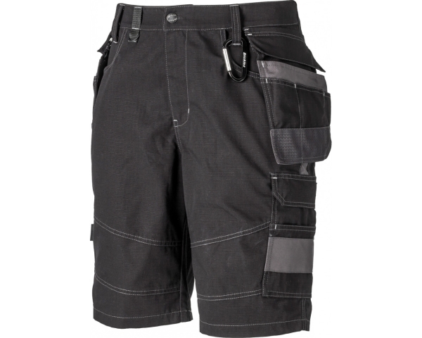 Dickies Premium Shorts Eisenhower